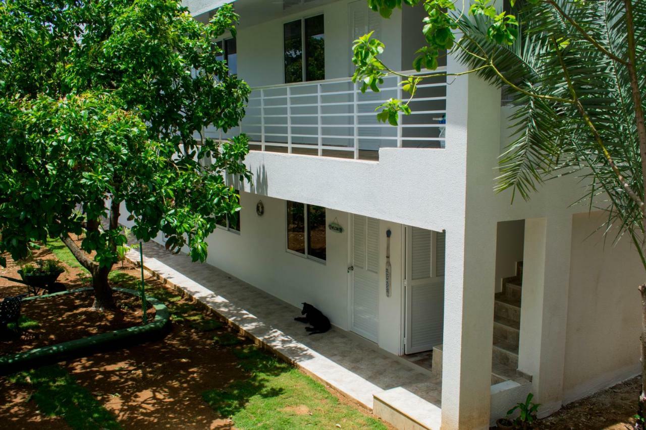 Bed and Breakfast Zaboka Sai à San Andrés Extérieur photo
